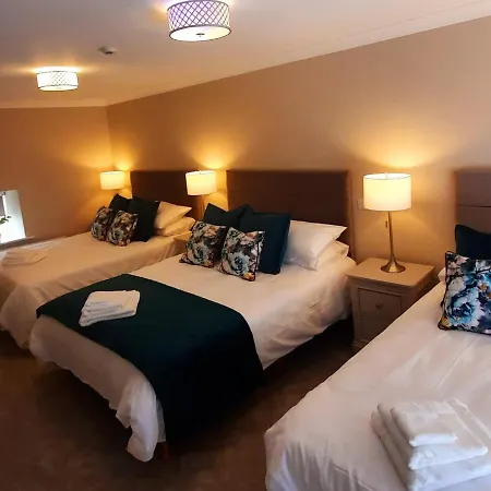 Hotel The Dolphin 3*