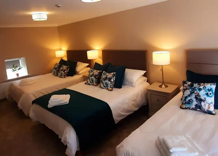 호텔 The Dolphin 3*