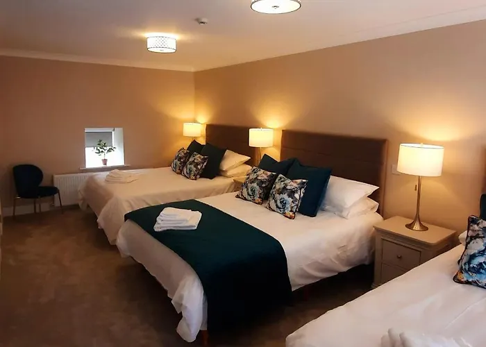 호텔 The Dolphin 3*